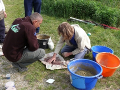 csapatbajnoksag_1_2011_23