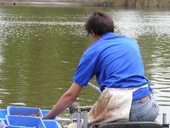 csapatbajnoksag_1_2011_39