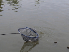 csapatbajnoksag_1_2011_69