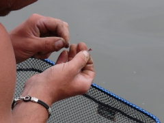 csapatbajnoksag_1_2011_70