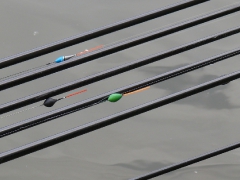 csapatbajnoksag_1_2011_72