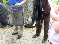 csapatbajnoksag_1_2011_75