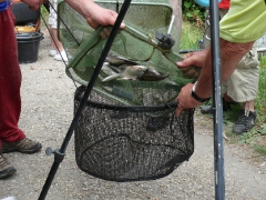 csapatbajnoksag_1_2011_82