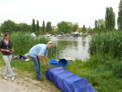 csapatbajnoksag_1_2011_98