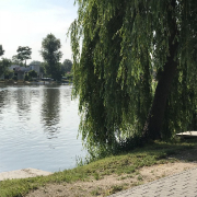 RDHSZ Egyéni Bajnokság 2018_48