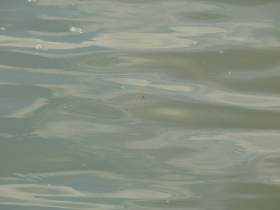 rdhsz_egyeni_bajnoksag_2019_129