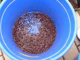 rdhsz_egyeni_bajnoksag_2019_144