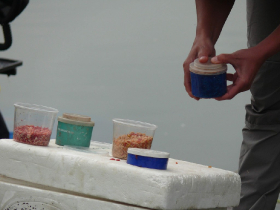 rdhsz_egyeni_bajnoksag_2019_151