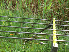 rdhsz_egyeni_bajnoksag_2019_172