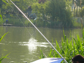 rdhsz_egyeni_bajnoksag_2019_183