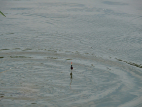 rdhsz_egyeni_bajnoksag_2019_211