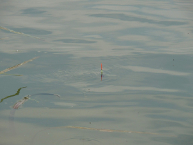 rdhsz_egyeni_bajnoksag_2019_212