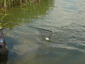 rdhsz_egyeni_bajnoksag_2019_227