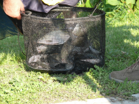 rdhsz_egyeni_bajnoksag_2019_272