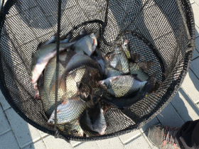 rdhsz_egyeni_bajnoksag_2019_274