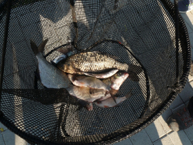 rdhsz_egyeni_bajnoksag_2019_276