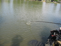 egyeni_bajnoksag_2009_84