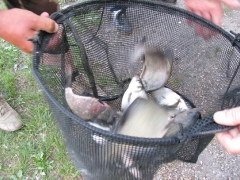 egyeni_bajnoksag_2009_88