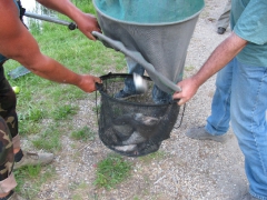 egyeni_bajnoksag_2009_93