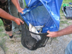 egyeni_bajnoksag_2009_98