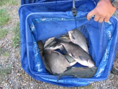 egyeni_bajnoksag_2009_99