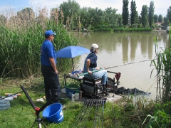 RDHSz Egyéni Bajnokság 2010