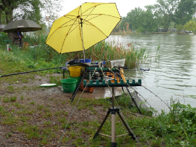 egyeni_feeder_verseny_2019_11