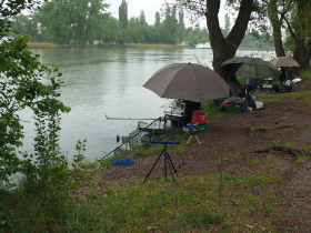 egyeni_feeder_verseny_2019_39