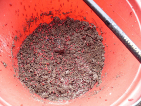 egyeni_feeder_verseny_2019_40