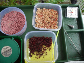 egyeni_feeder_verseny_2019_41