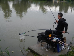 feeder_verseny_2015-11