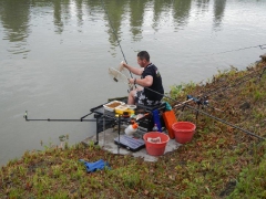 feeder_verseny_2015-20