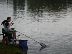 feeder_verseny_2015-22