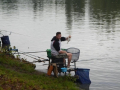 feeder_verseny_2015-26