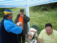 feeder_verseny_2015-2