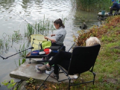 feeder_verseny_2015-30