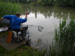 feeder_verseny_2015-7