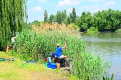 egyeni_feeder_verseny_2016-10