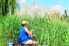 egyeni_feeder_verseny_2016-13