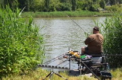 egyeni_feeder_verseny_2016-1