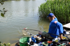 egyeni_feeder_verseny_2016-22