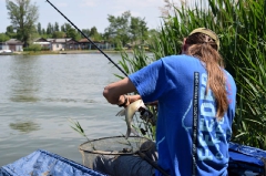 egyeni_feeder_verseny_2016-23