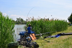 egyeni_feeder_verseny_2016-2