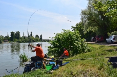 egyeni_feeder_verseny_2016-7