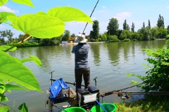 egyeni_feeder_verseny_2016-9