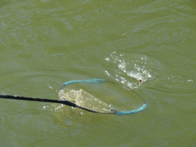 rdhsz_egyesuleti_csb_2019_109