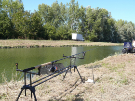 rdhsz_egyesuleti_csb_2019_112