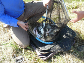 rdhsz_egyesuleti_csb_2019_130