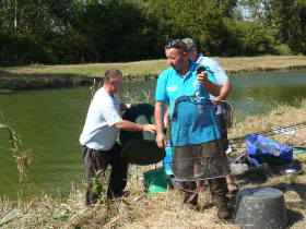 rdhsz_egyesuleti_csb_2019_132