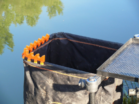 rdhsz_egyesuleti_csb_2019_58